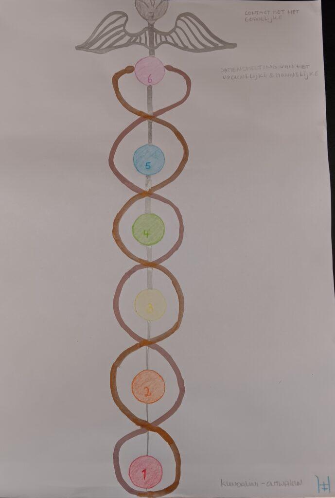 7 chakra's getekend met 3 nadi's eromheen slingerend, eindigend in vleugels en een lotus